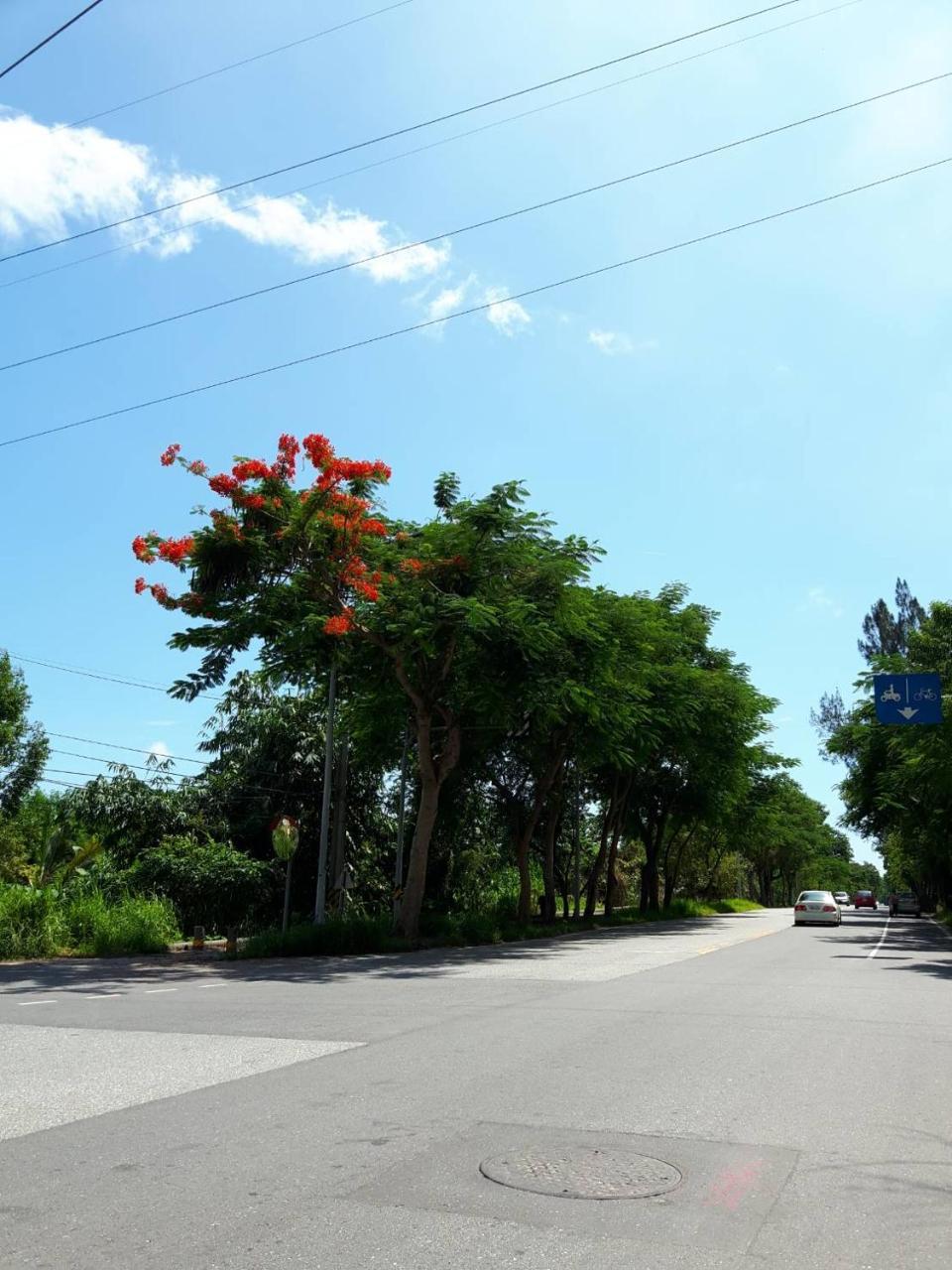 Dai Yi Shia B&B Fushi Exterior foto